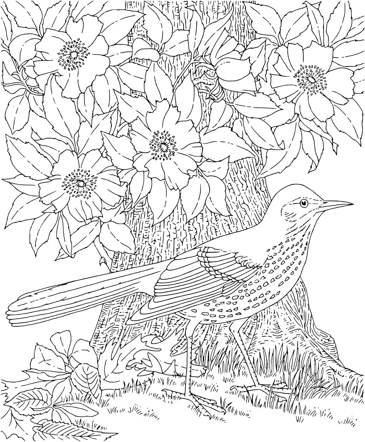 Раскраска Птица под деревом с крупными цветами и листьями