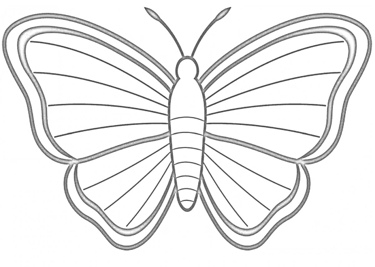 Раскраска Черно-белая бабочка с узорами на крыльях и усиками