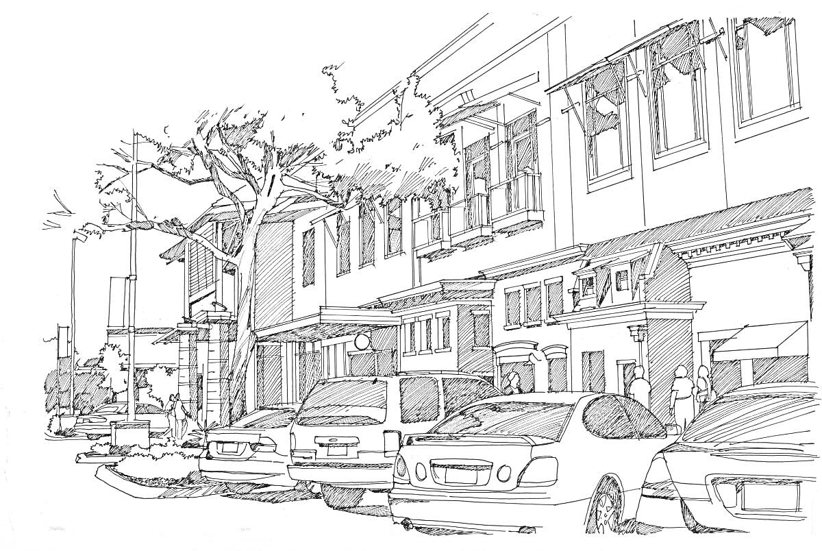 Раскраска Городская улица с машинами и зданиями, деревья на тротуаре