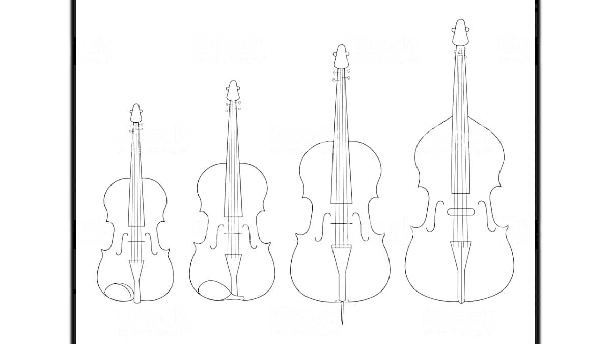 На раскраске изображено: Скрипка, Виолончель, Контрабас, Музыкальные инструменты, Струнные инструменты