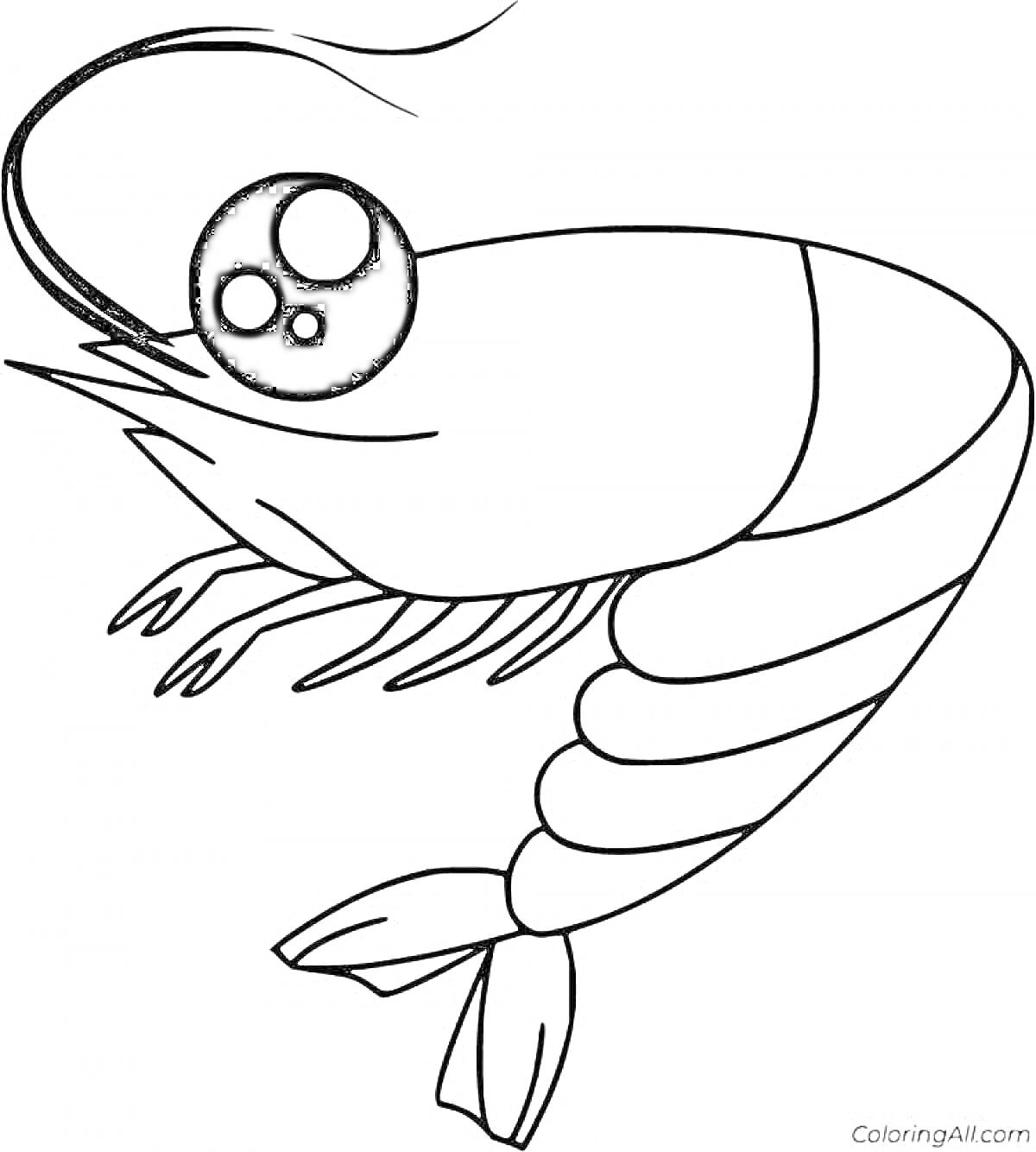 Раскраска Раскраска креветка с большими глазами, усами, лапами и хвостом
