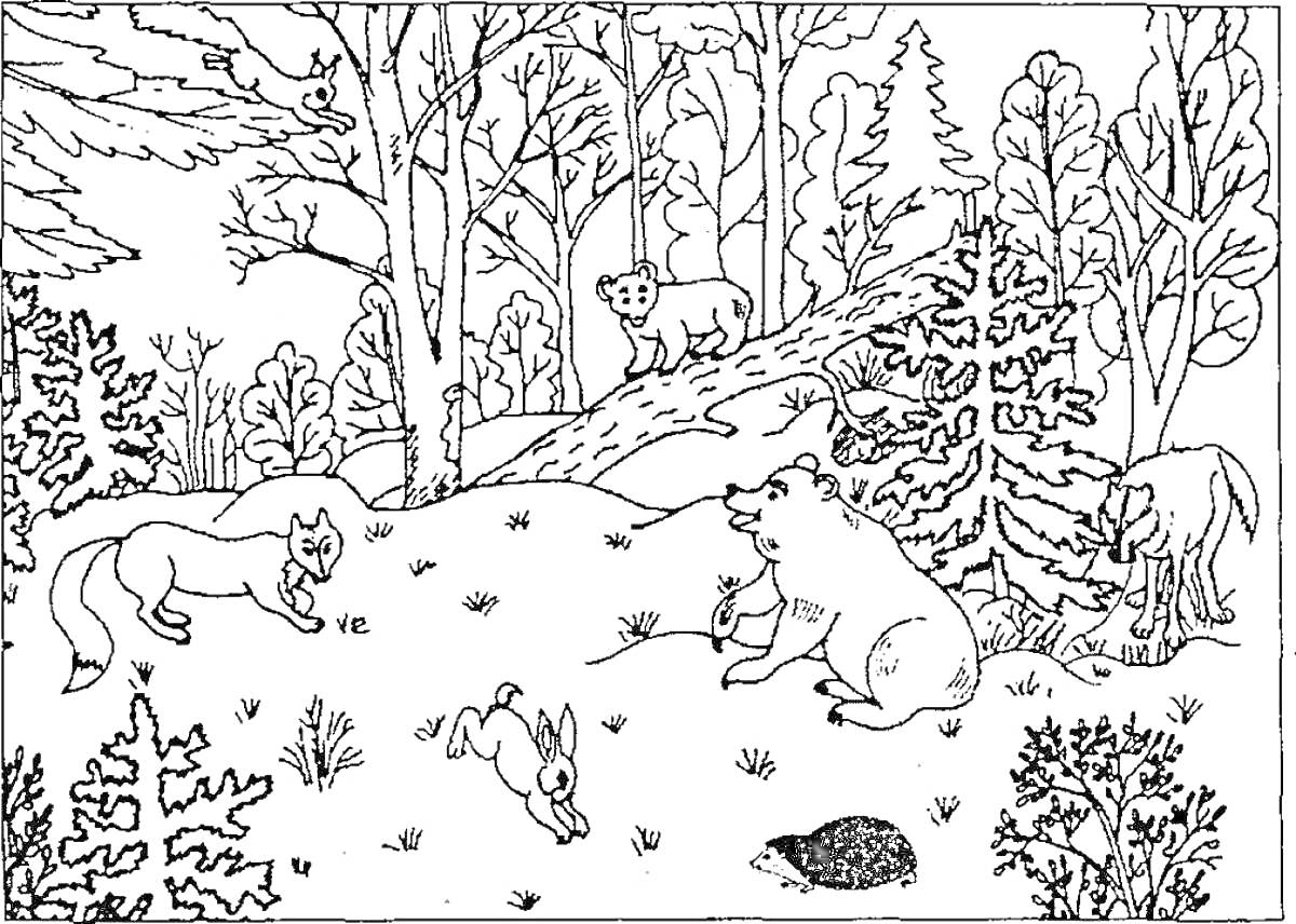 Раскраска Лесные животные рядом с деревьями, сова на ветке, белка, медведь, олень, ёжик, лиса, заяц, птица в небе