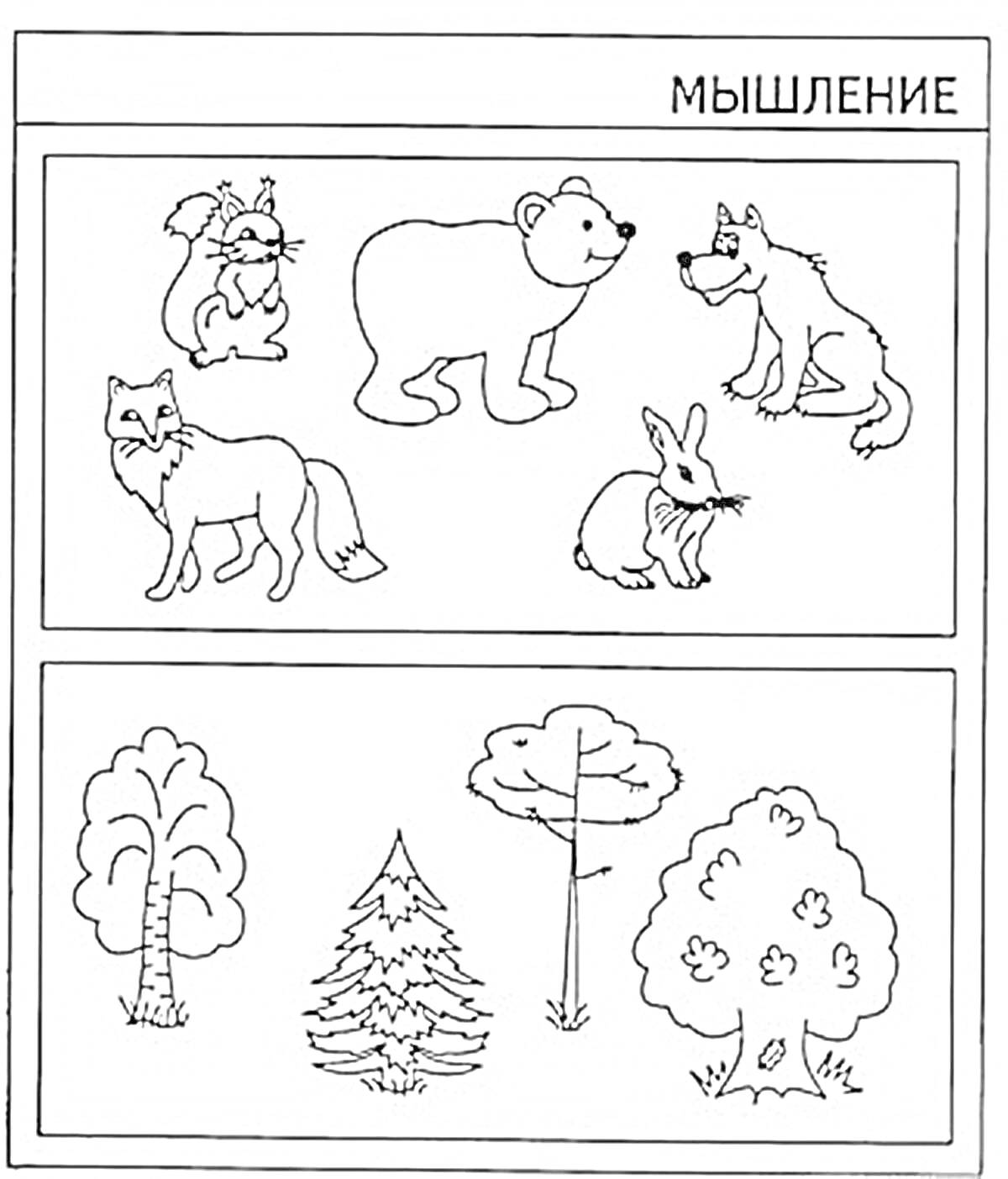 На раскраске изображено: Белка, Медведь, Волк, Лиса, Заяц, Мышление, Тест