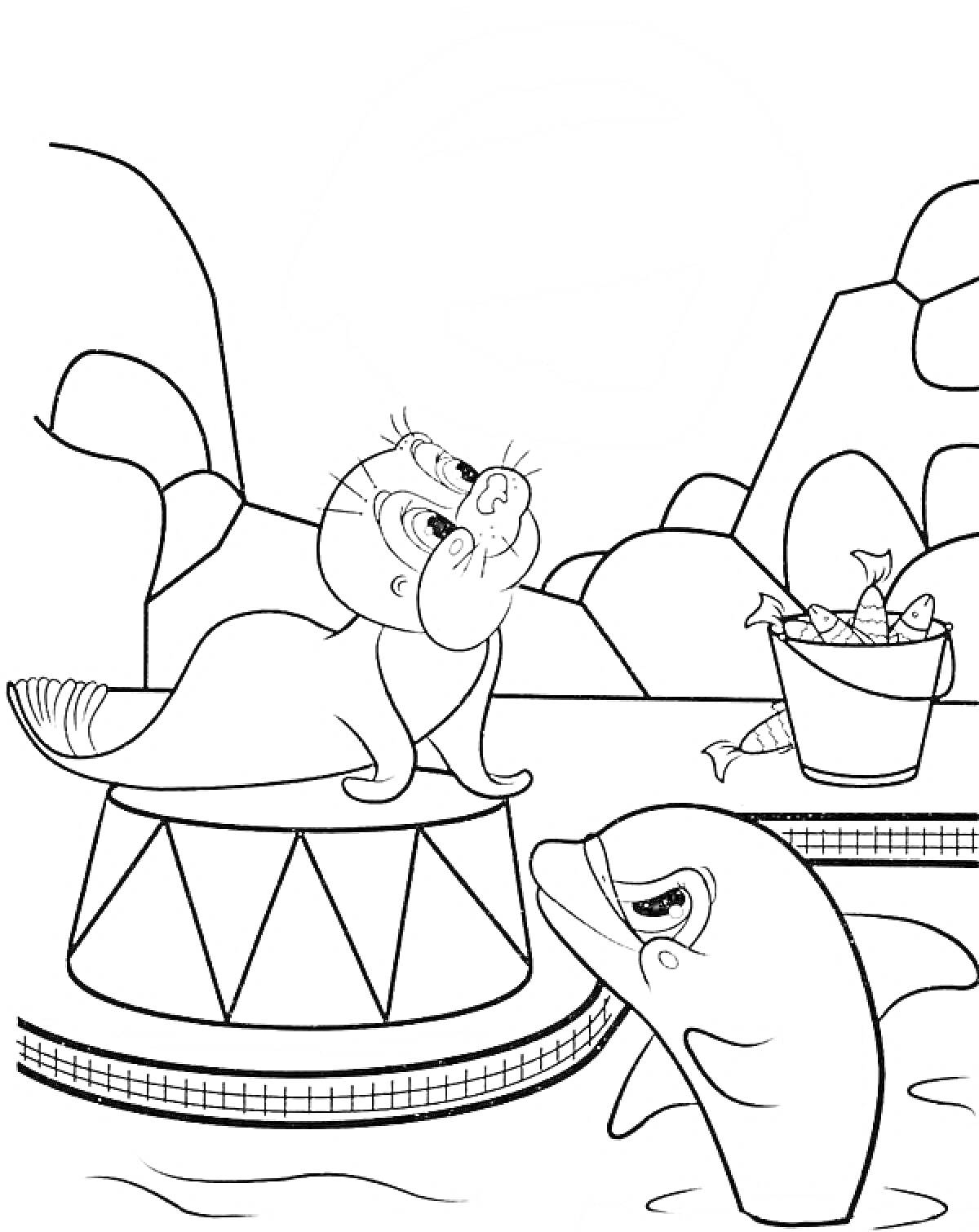 Раскраска Тюлень на арене с дельфином и ведром рыбы на фоне скал