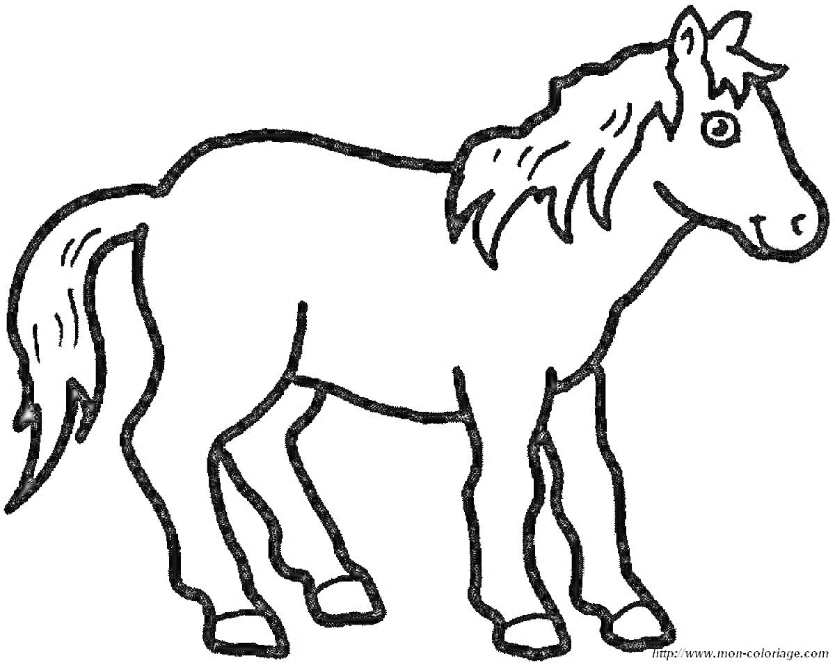 На раскраске изображено: 3-4 года, Грива, Хвост, Для детей, Животные, Лошадь