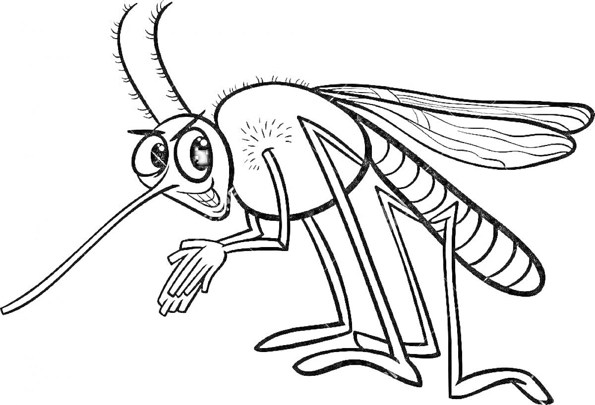 Раскраска Комар с большими глазами, длинным хоботком и сложенными передними лапками