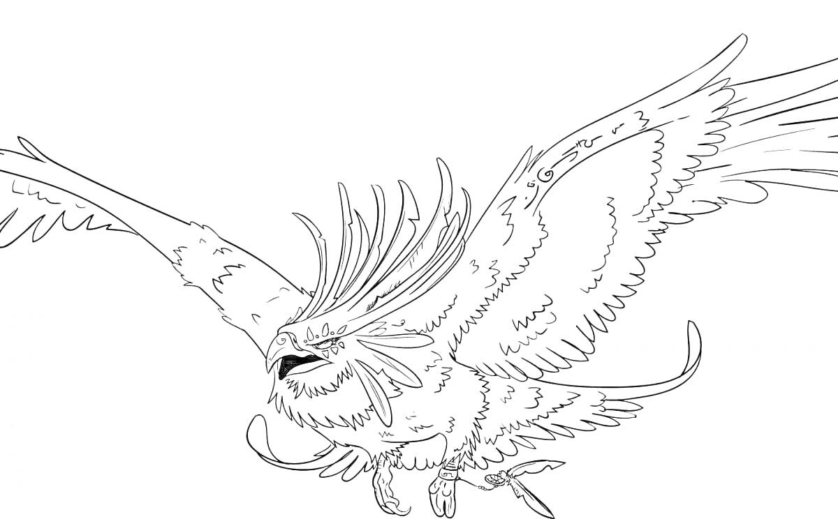 На раскраске изображено: Феникс, Крылья, Мифические существа