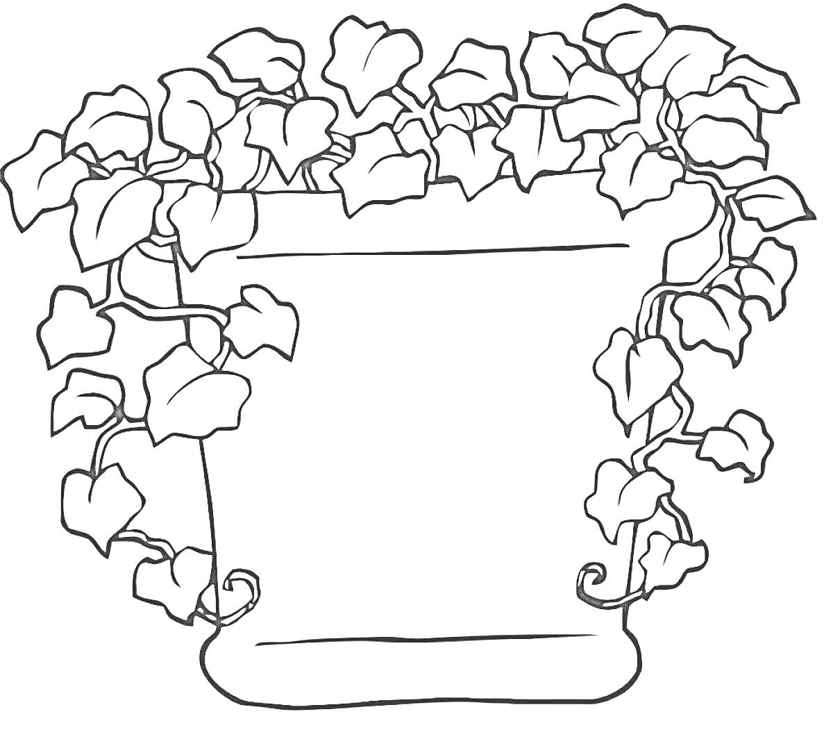 На раскраске изображено: Комнатные растения, Листья, Зелень, Горшки
