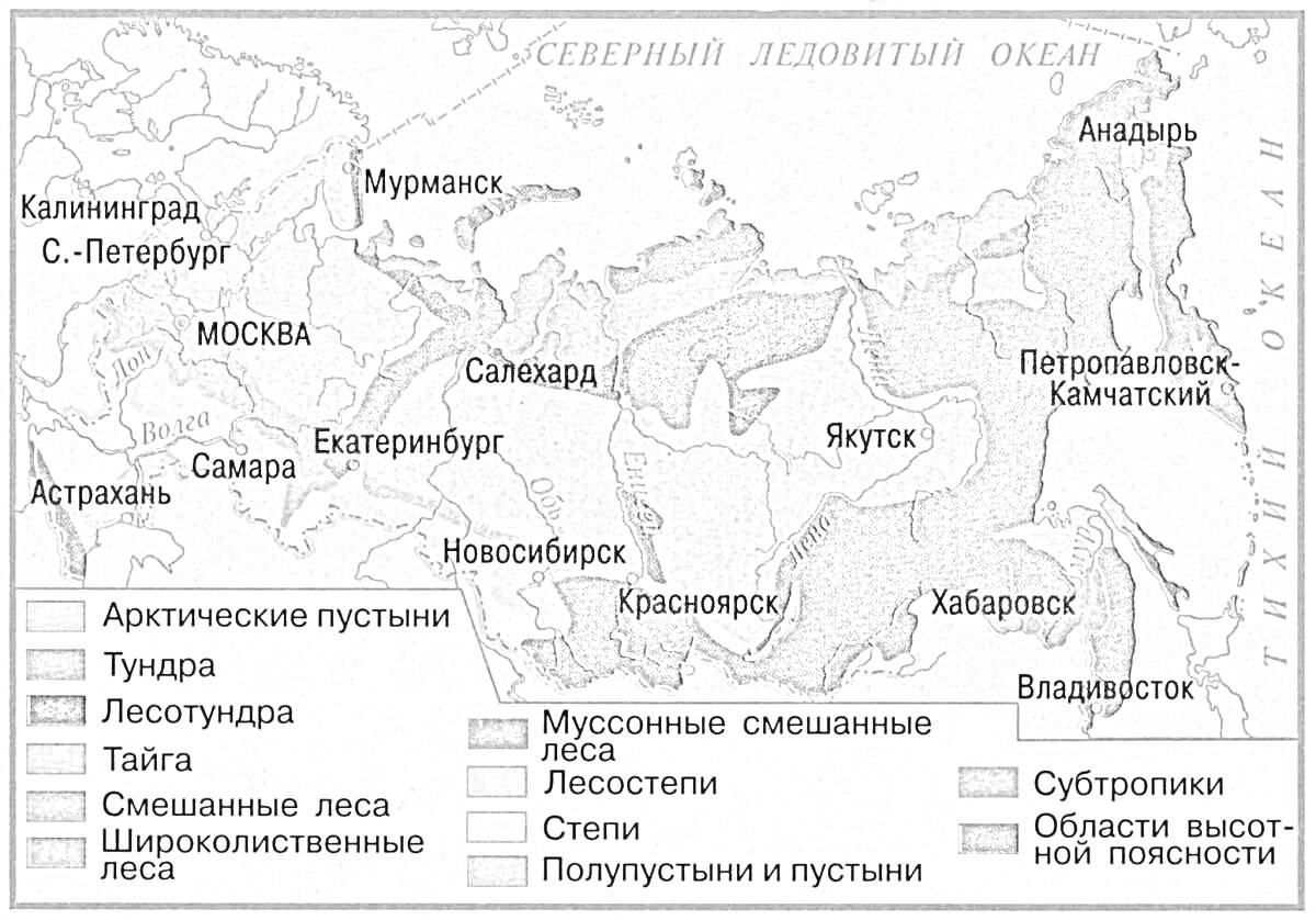 На раскраске изображено: Природные зоны, Арктические пустыни, Тундра, Лесотундра, Тайга, Смешанные леса, Широколиственные леса, Лесостепь, Степь, Полупустыни, Карта, Россия, Санкт-Петербург, Москва, Екатеринбург, Новосибирск, Владивосток, Пермь, Волгоград, Краснодар