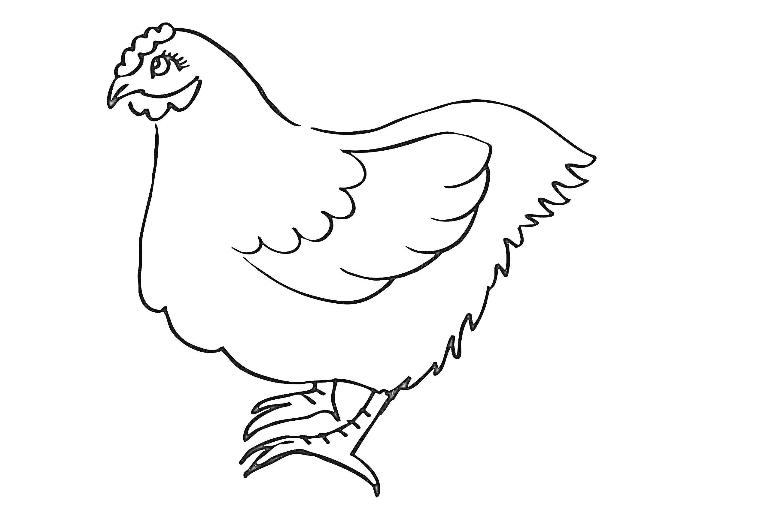 Раскраска Раскраска с изображением курицы
