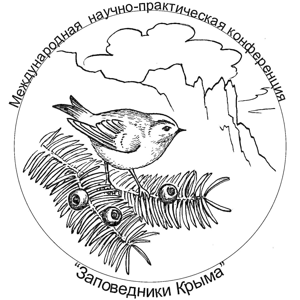 Раскраска Птица на ветке хвойного дерева на фоне гор, Международная научно-практическая конференция 