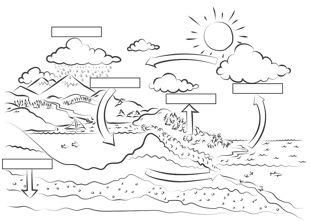 Круговорот Воды в Природе с Описанием Элементов: Солнце, Облака, Горы, Реки, Океан, Деревья, Лес, Озеро, Стрелки Направления