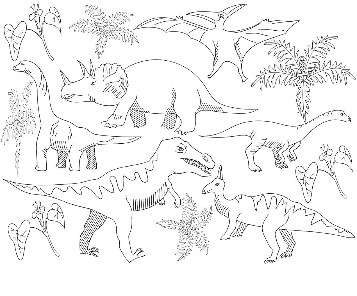 На раскраске изображено: Деревья, Растения, Тираннозавр рекс, Трицератопс, Птеранодон, Брахиозавр, Папоротник