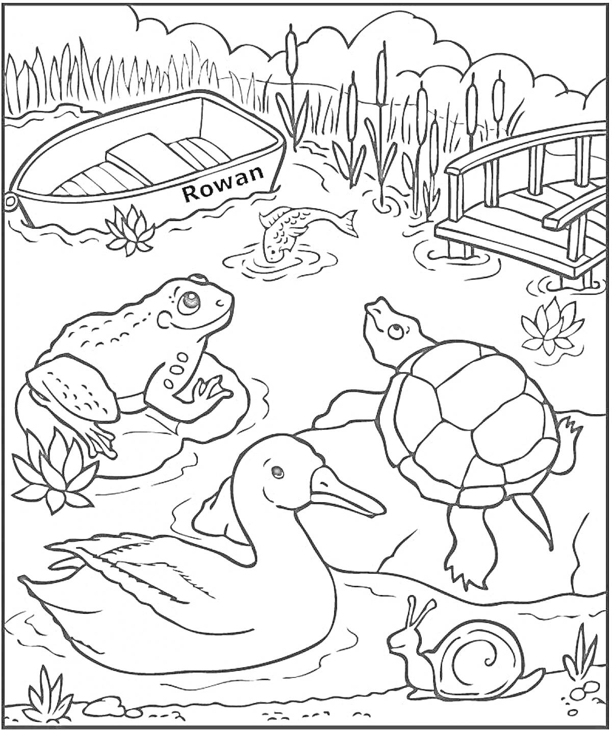 Раскраска Водоем с лодкой, мостиком, лягушкой, черепахой, уткой, улиткой и рыбой