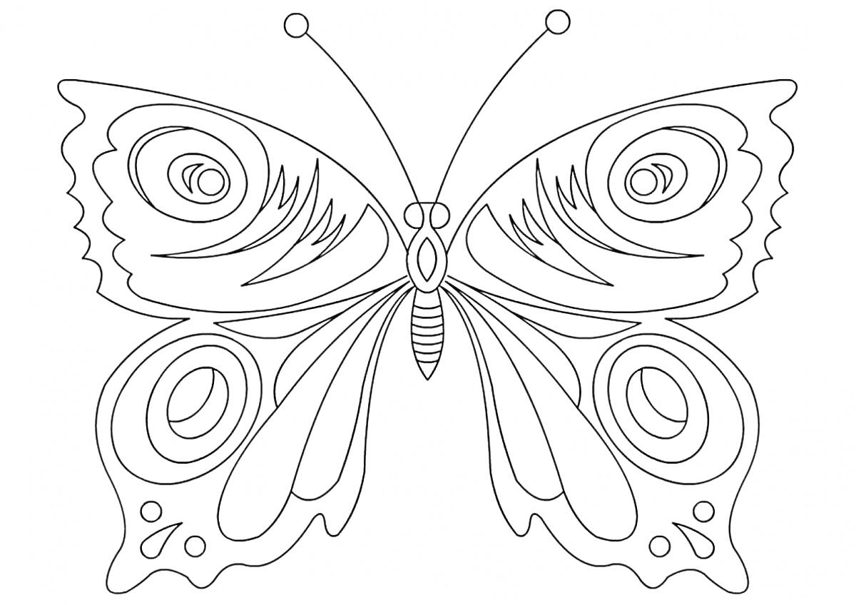 На раскраске изображено: Бабочка, Крылья, Антенны, Узоры