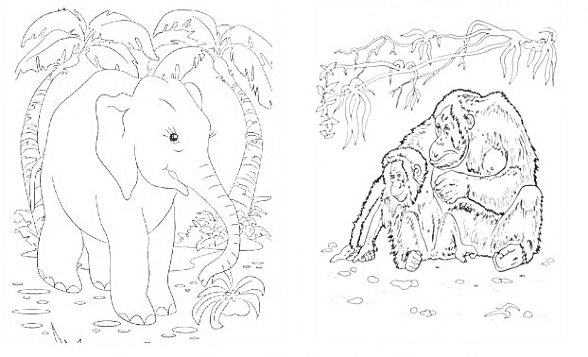На раскраске изображено: Слон, Пальмы, Тропики, Жаркие страны, Природа, Животные, Для детей, Дикие животные, Лес, Джунгли