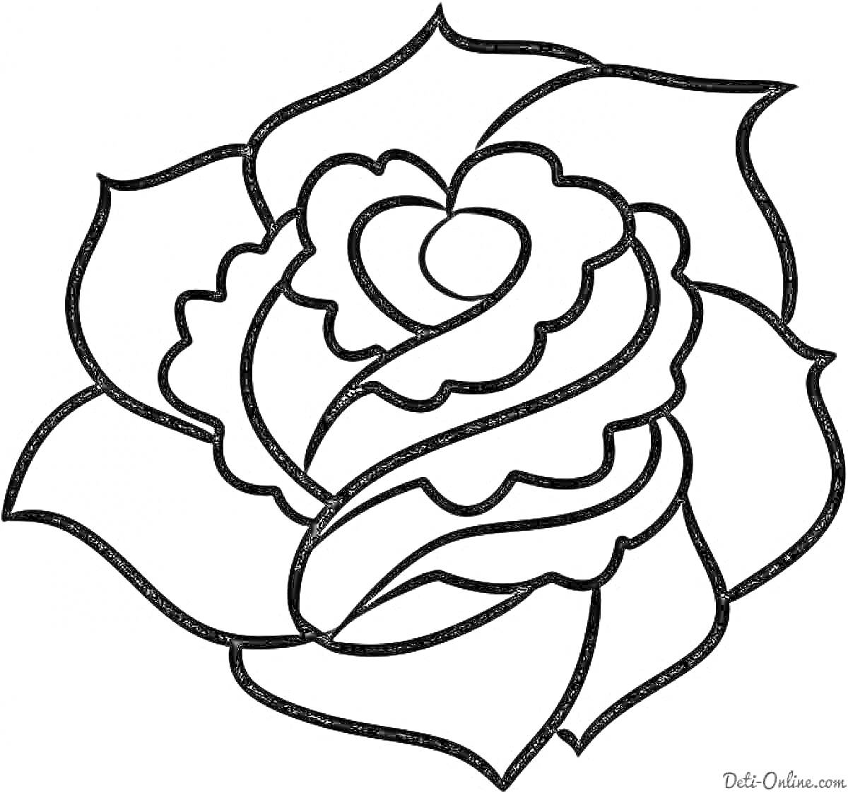 Раскраска Чёрно-белая раскраска розы с тремя видимыми лепестками и завитыми центральными лепестками