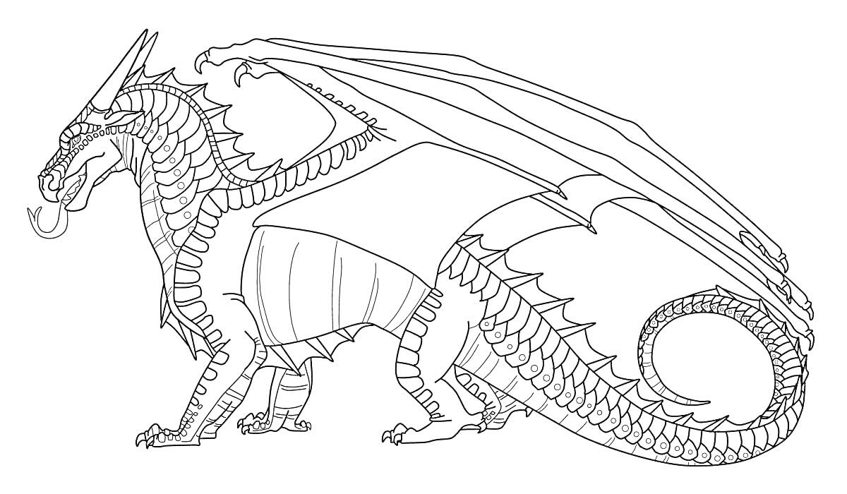 Раскраска Дракон с крыльями, детализированное тело, чешуйчаткая кожа, длинный хвост, рога, выступающие зубы, раздвоенный язык