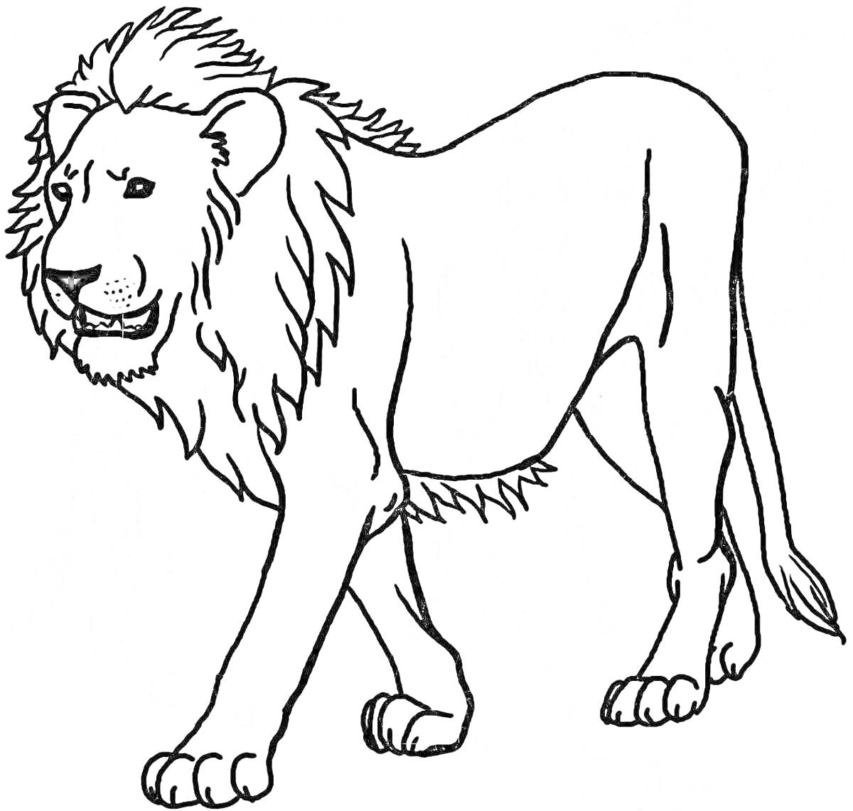 Раскраска Лев идет, изображение льва в движении