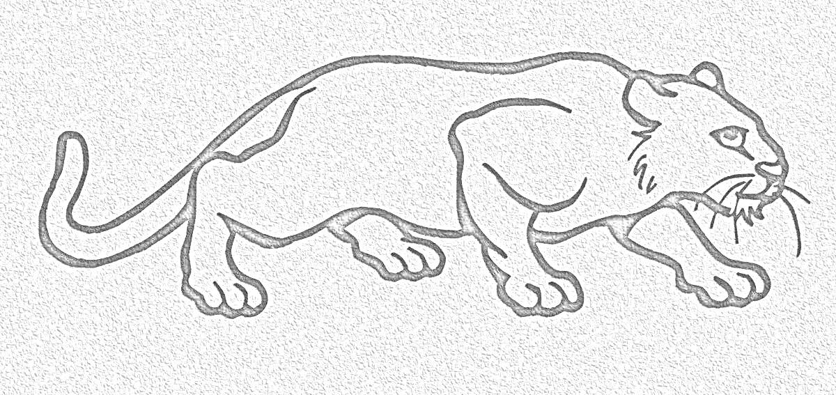Раскраска Раскраска с изображением идущей пантеры