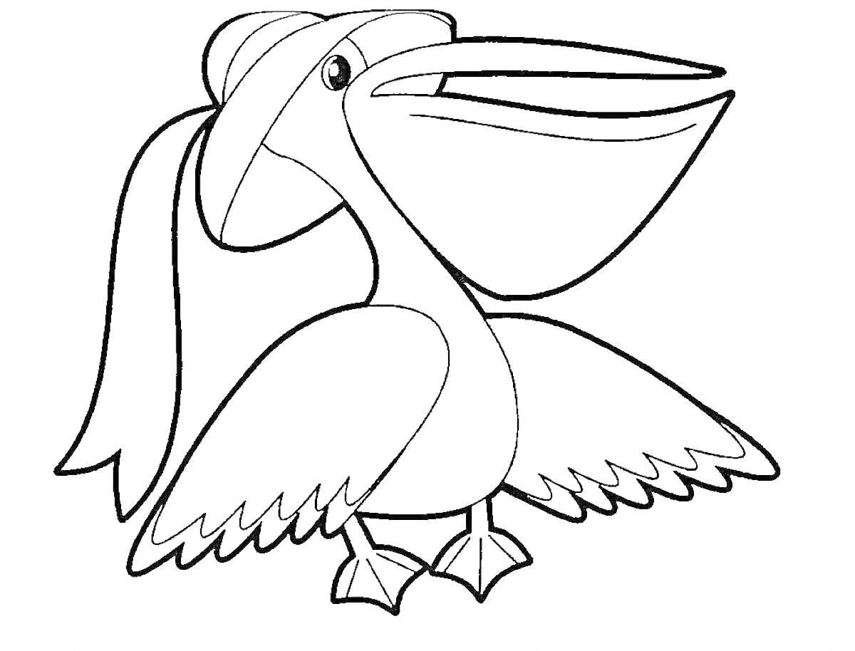 Пеликан в шляпе, с раскрывшимися крыльями и поднятым клювом