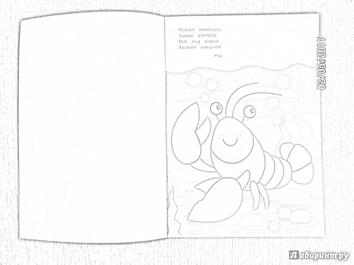 На раскраске изображено: Книга, Рак, Подводный мир, Животные, Море, Клешни, Для детей