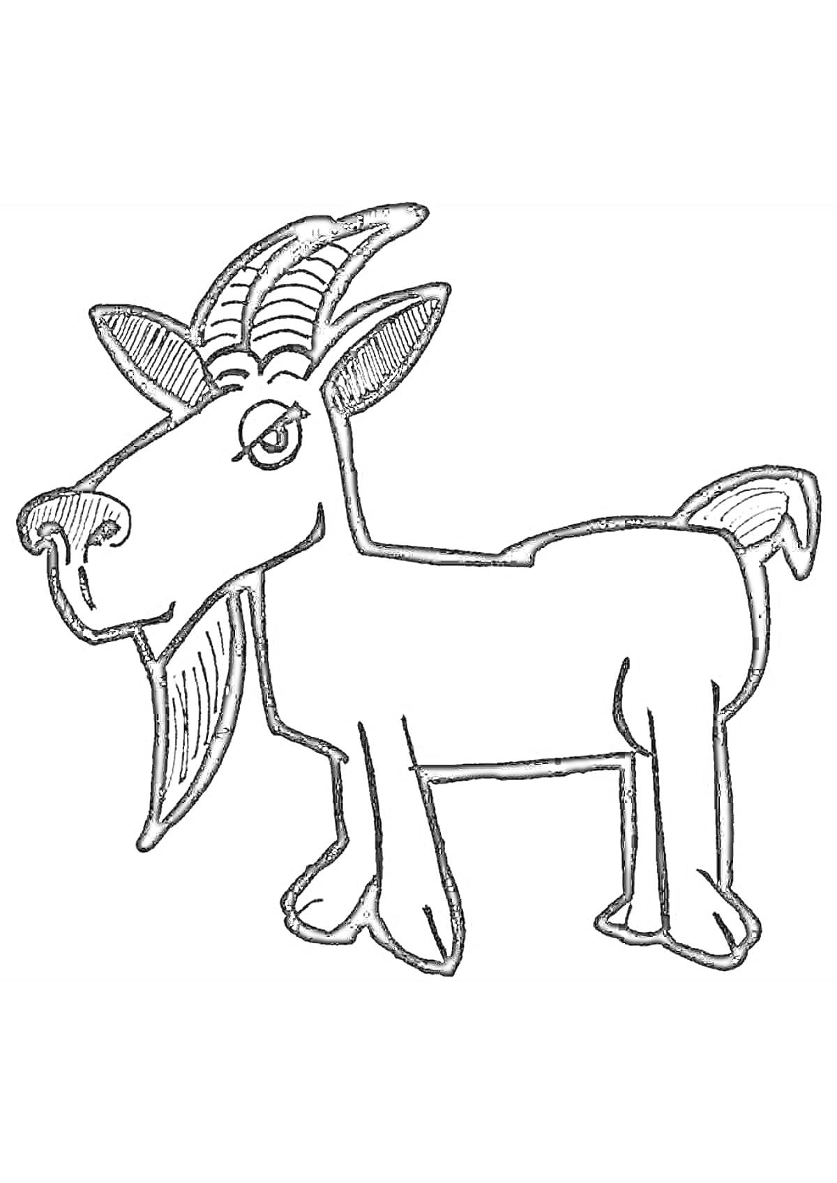 Раскраска Козел с рожками и бородой