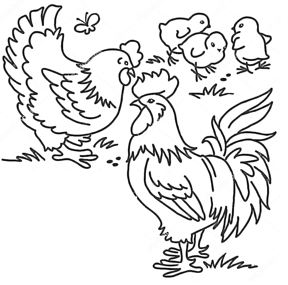 На раскраске изображено: Петух, Цыплята, Бабочка, Трава, Домашние животные, Ферма, Птица, Курицы