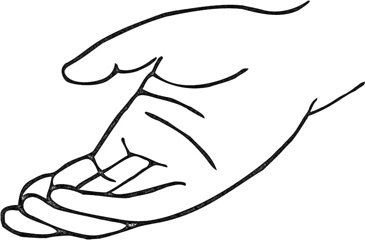 На раскраске изображено: Рука, Ладонь, Пальцы, Линии, Контурные рисунки