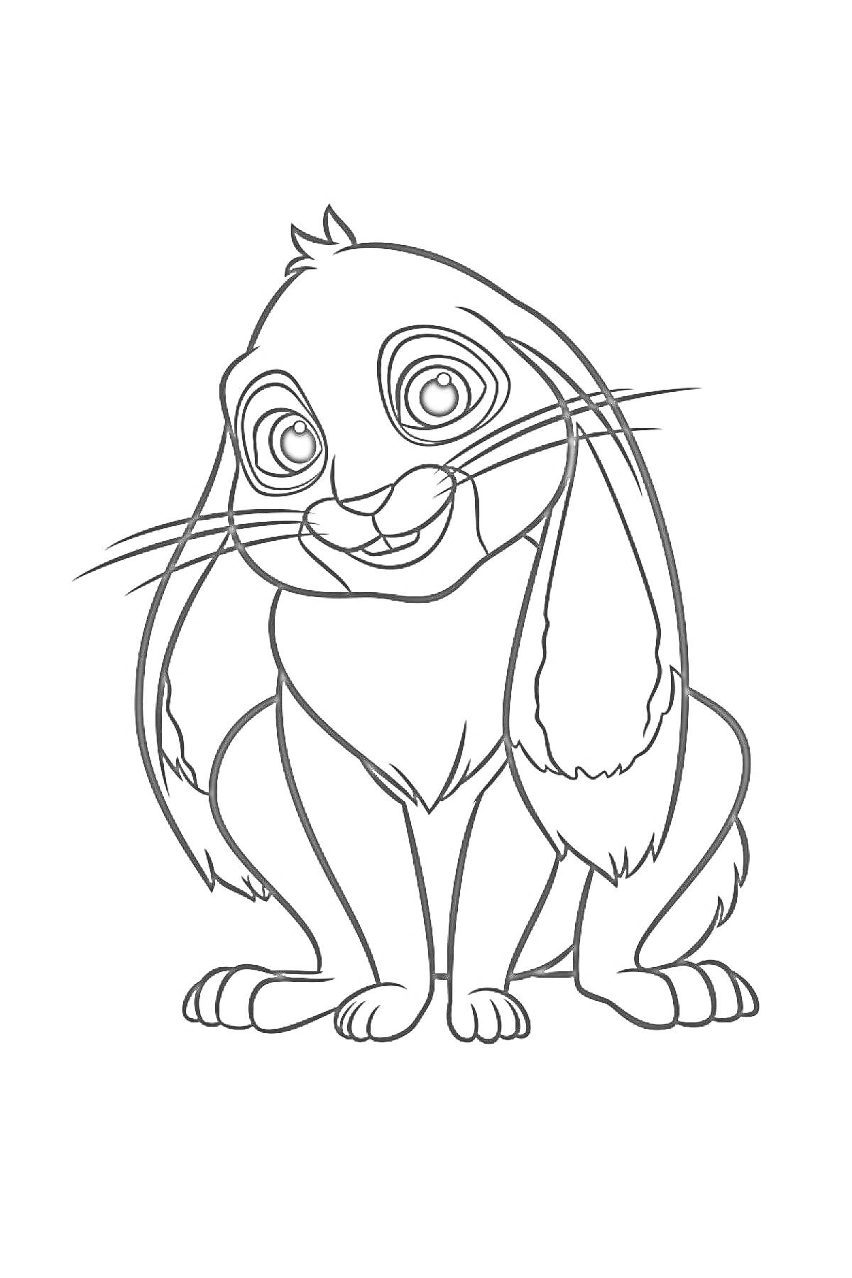 Раскраска Кролик из мультфильма 