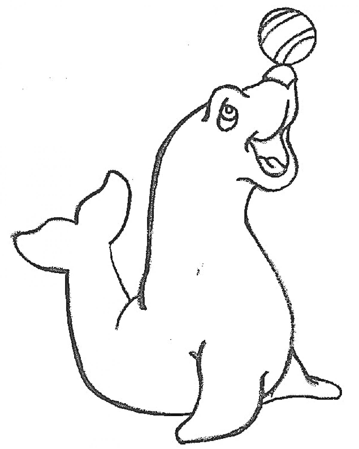 Морской Котик, балансирующий мяч на носу