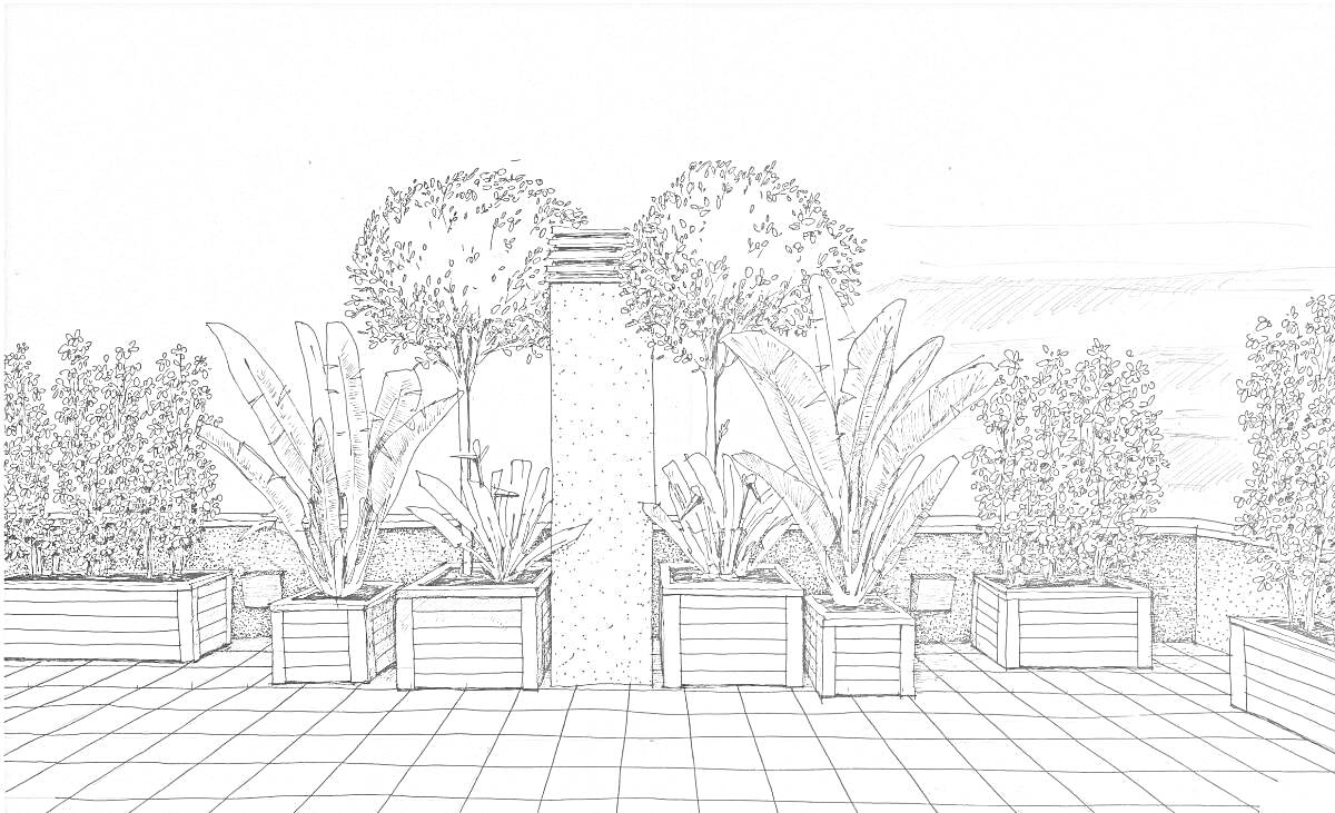 На раскраске изображено: Ландшафт, Сад, Деревья, Горшки, Плитка, Зелень, Растения