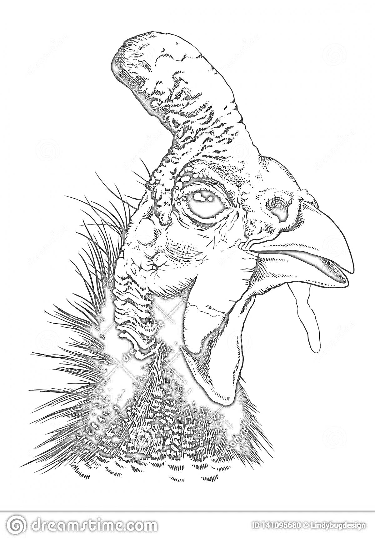 На раскраске изображено: Цесарка, Птица, Голова, Гребень, Оперение