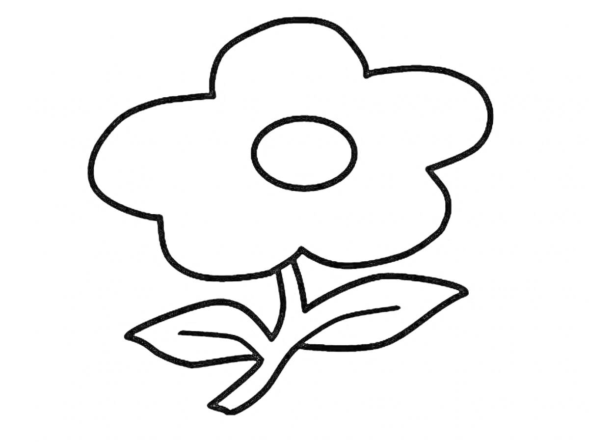 Раскраска Цветок с пятью лепестками и двумя листьями на стебле