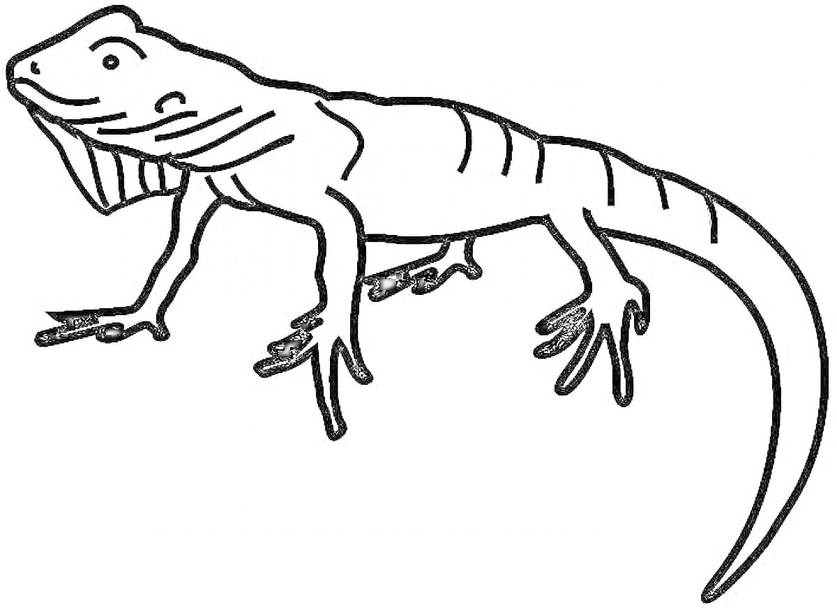 Раскраска Игуана с длинным хвостом, стоящая на четырех лапах, профильное изображение