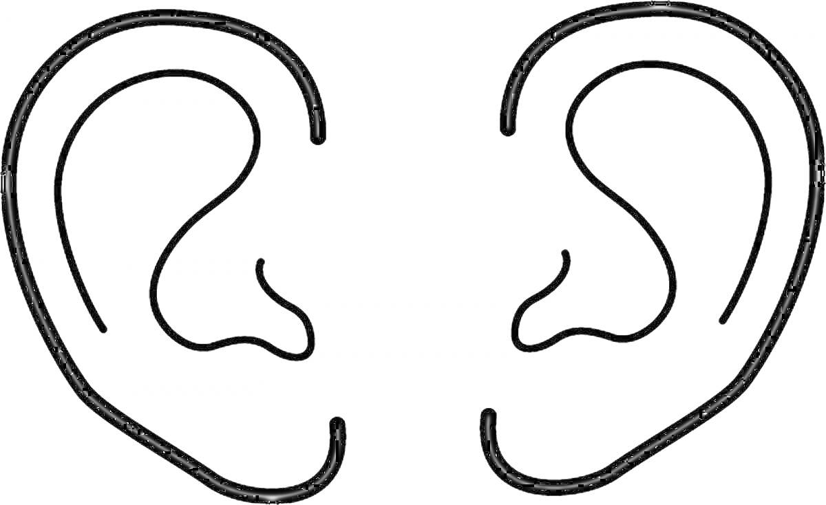 Раскраска два человеческих уха