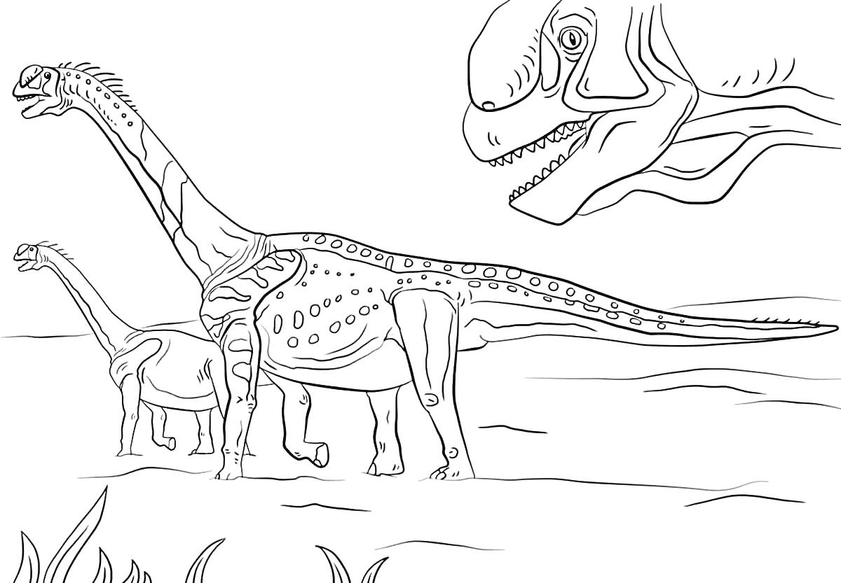 Раскраска Два брахиозавра и крупный план головы динозавра на фоне пустынного ландшафта