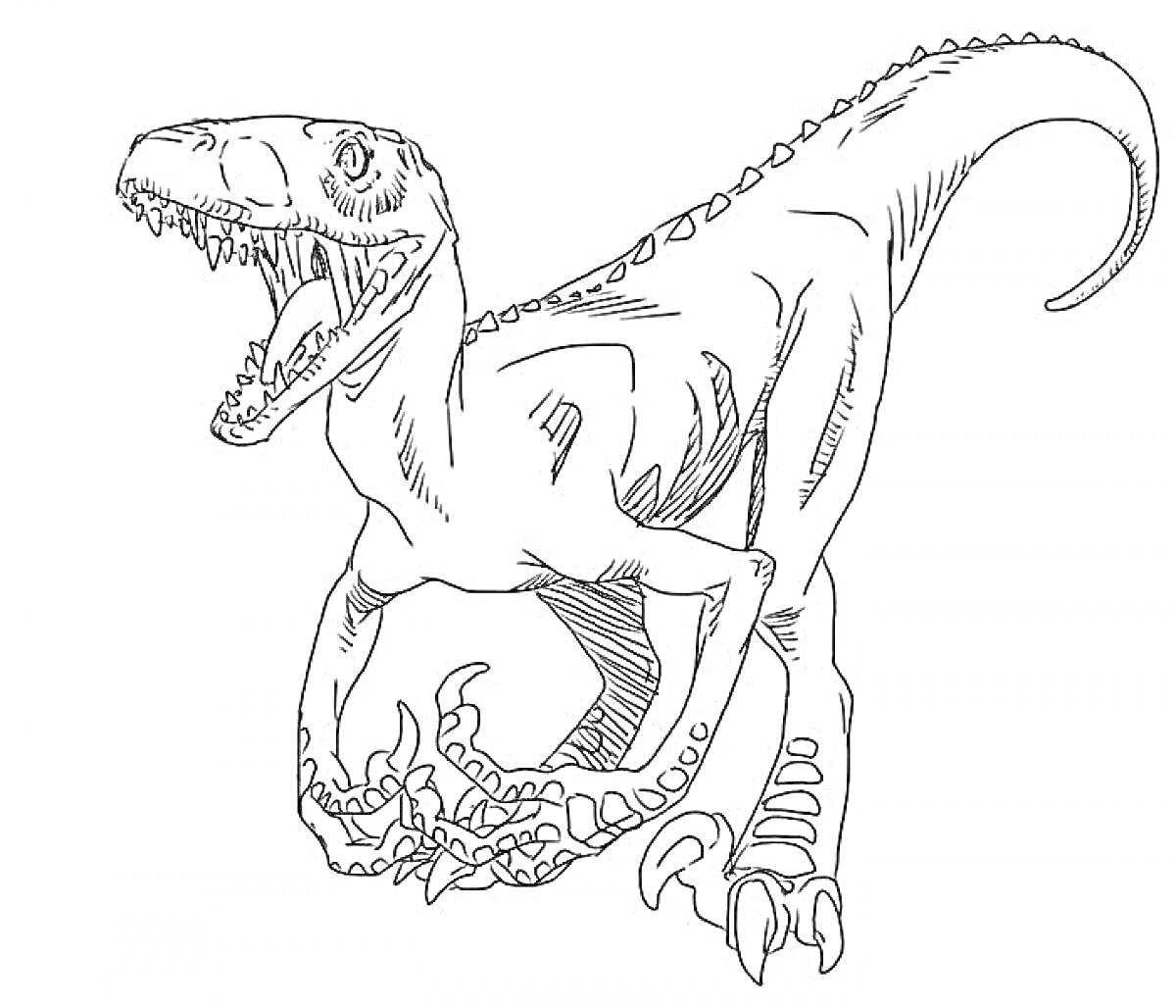 Раскраска Велоцераптор с открытой пастью и длинным хвостом, стоящий в агрессивной позе