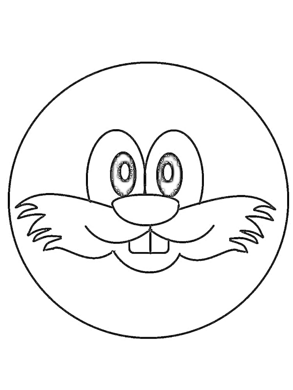 На раскраске изображено: Заяц, Усы, Зубы, Глаза, Круглая форма, Морда, Смайлы