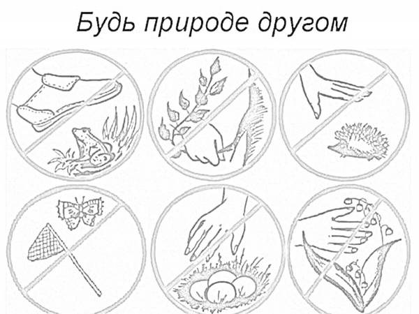 Раскраски забота о природе: 49 раскрасок - скачать или распечатать ...