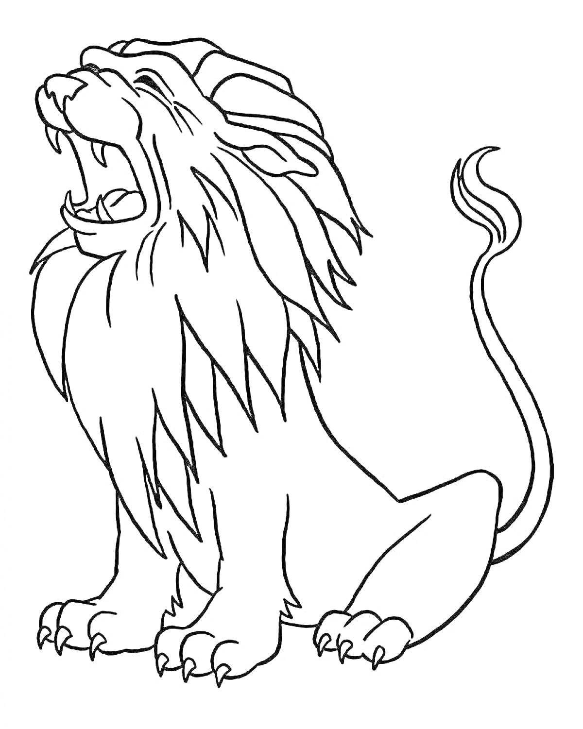 Раскраска Рычание льва с поднятой головой и развевающейся гривой