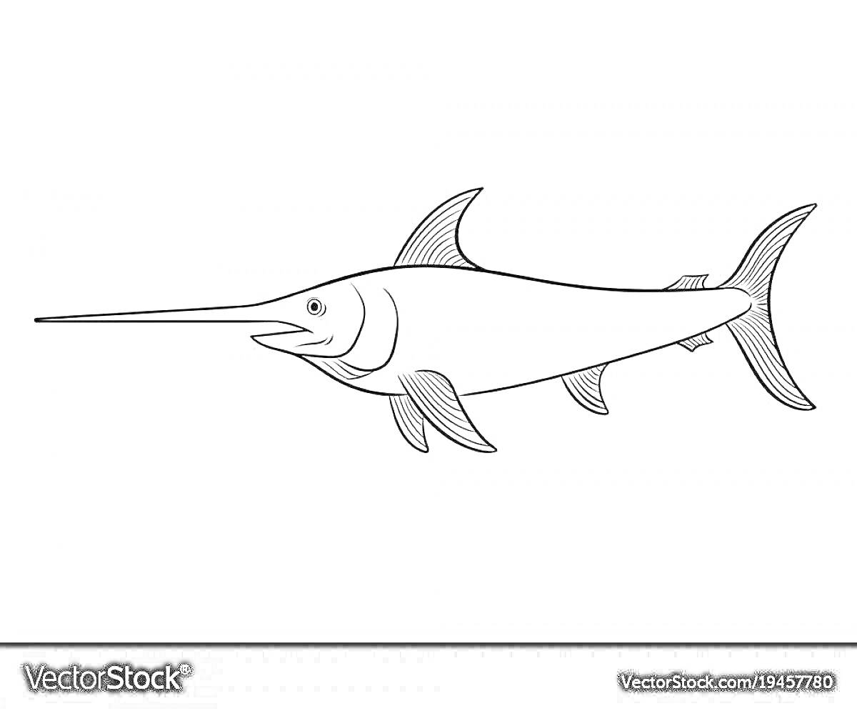 Раскраска Рыба-меч с длинным носом и плавниками