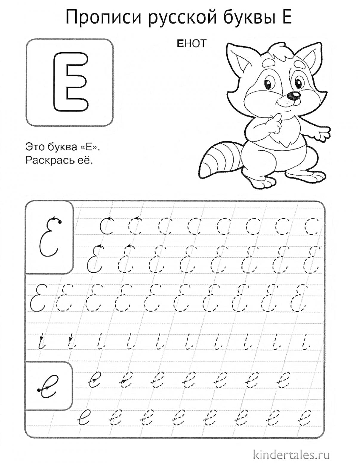 Раскраска Прописи русской буквы Е с изображением енота