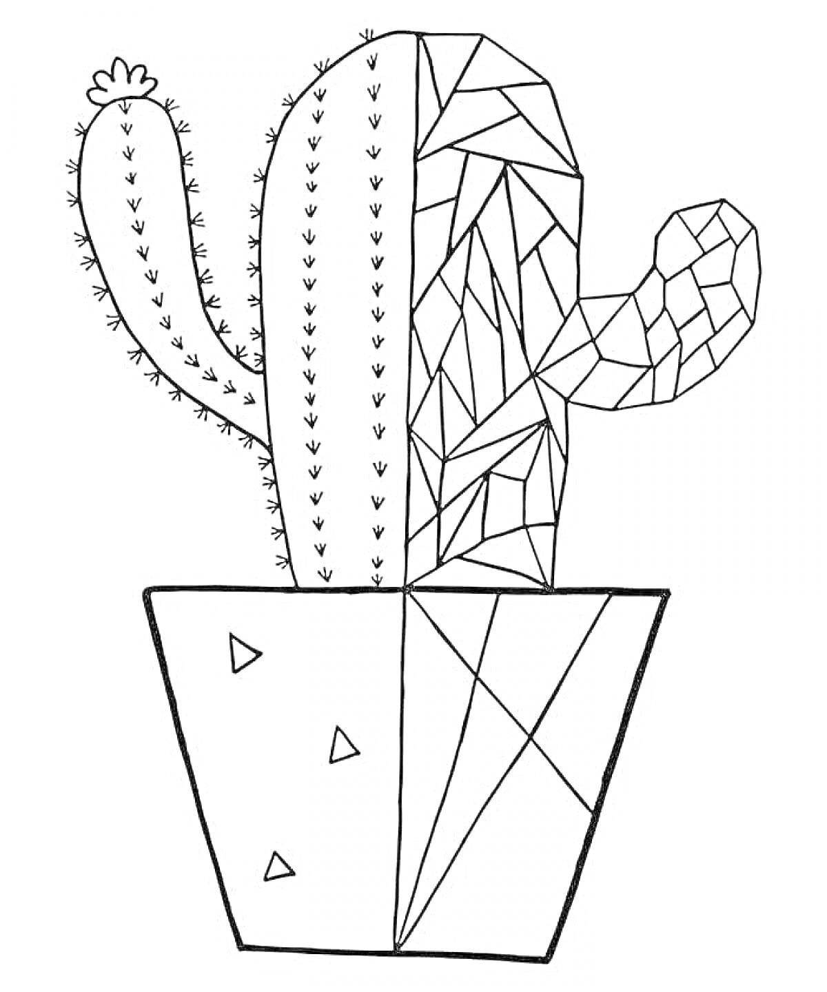 На раскраске изображено: Кактусы, Геометрические узоры, Растения, Суккуленты, Узоры