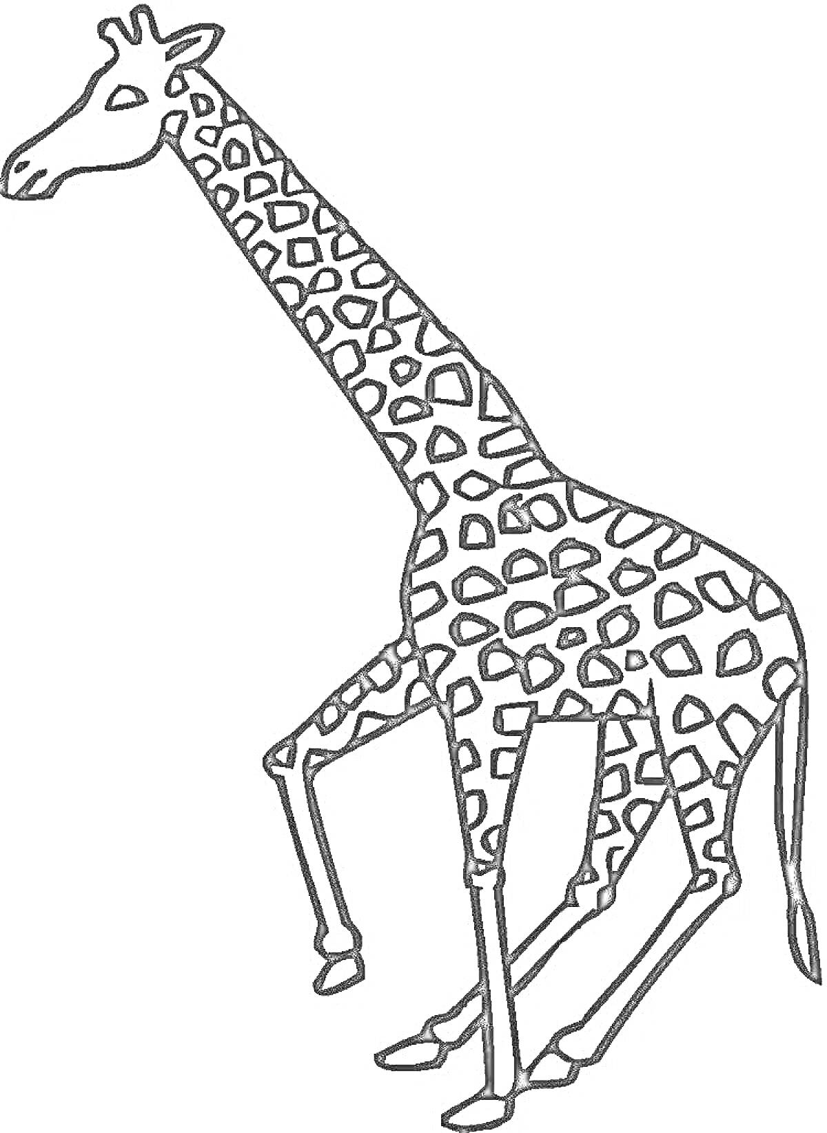 Раскраска Жираф для детей, стоящий на четырех ногах с пятнистым узором на теле