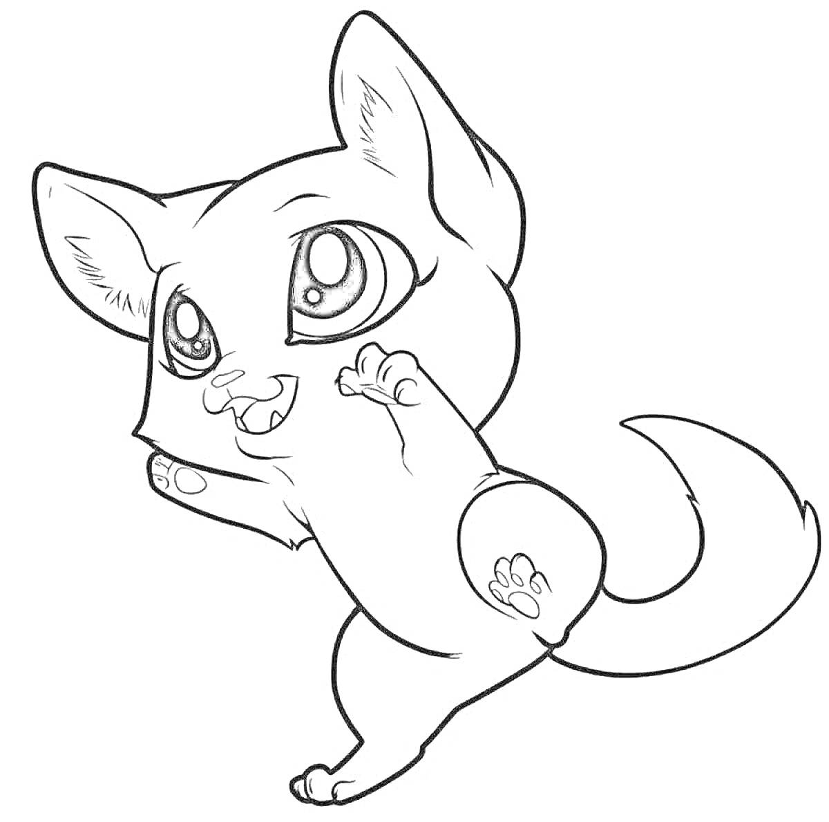 Раскраска милая кошка с большими глазами, поднятыми лапками и хвостом