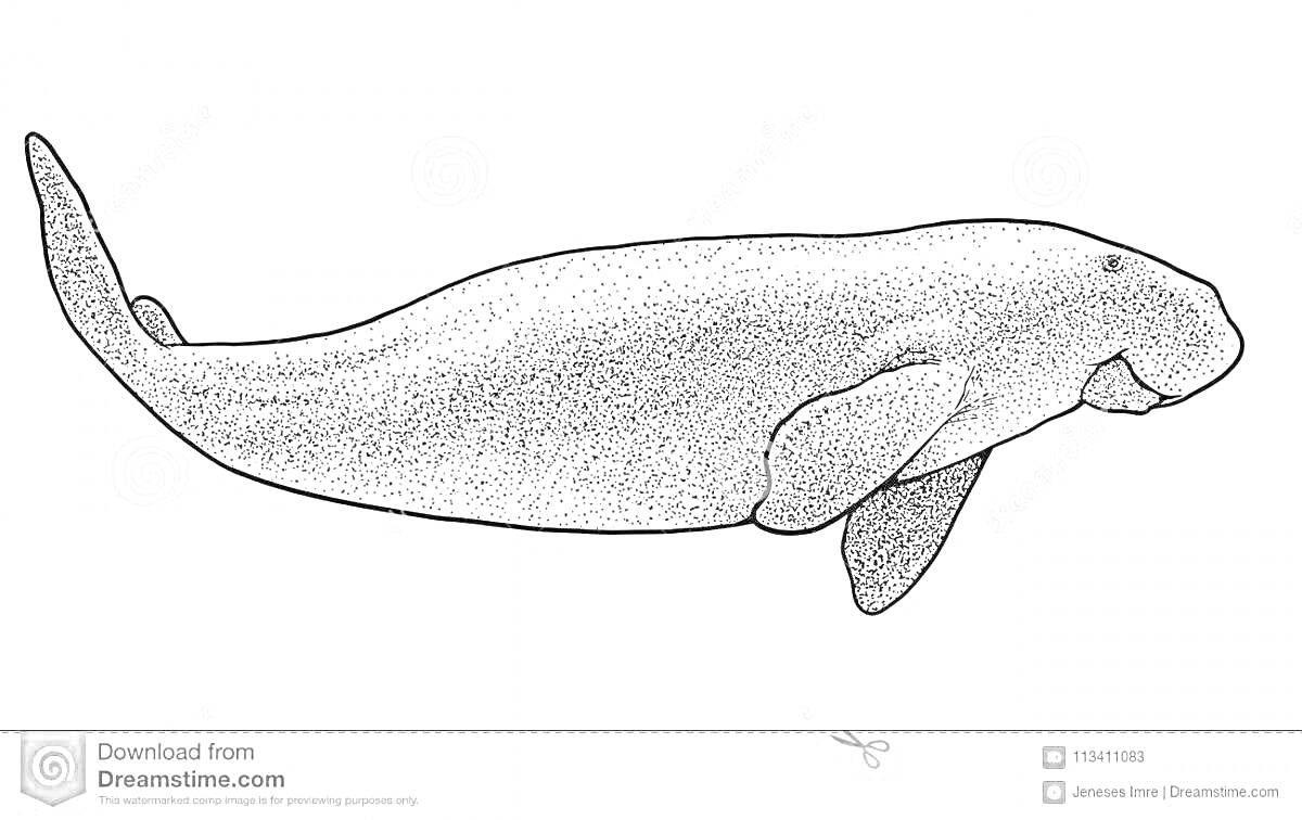 Контурное изображение морской коровы с плавниками и хвостом