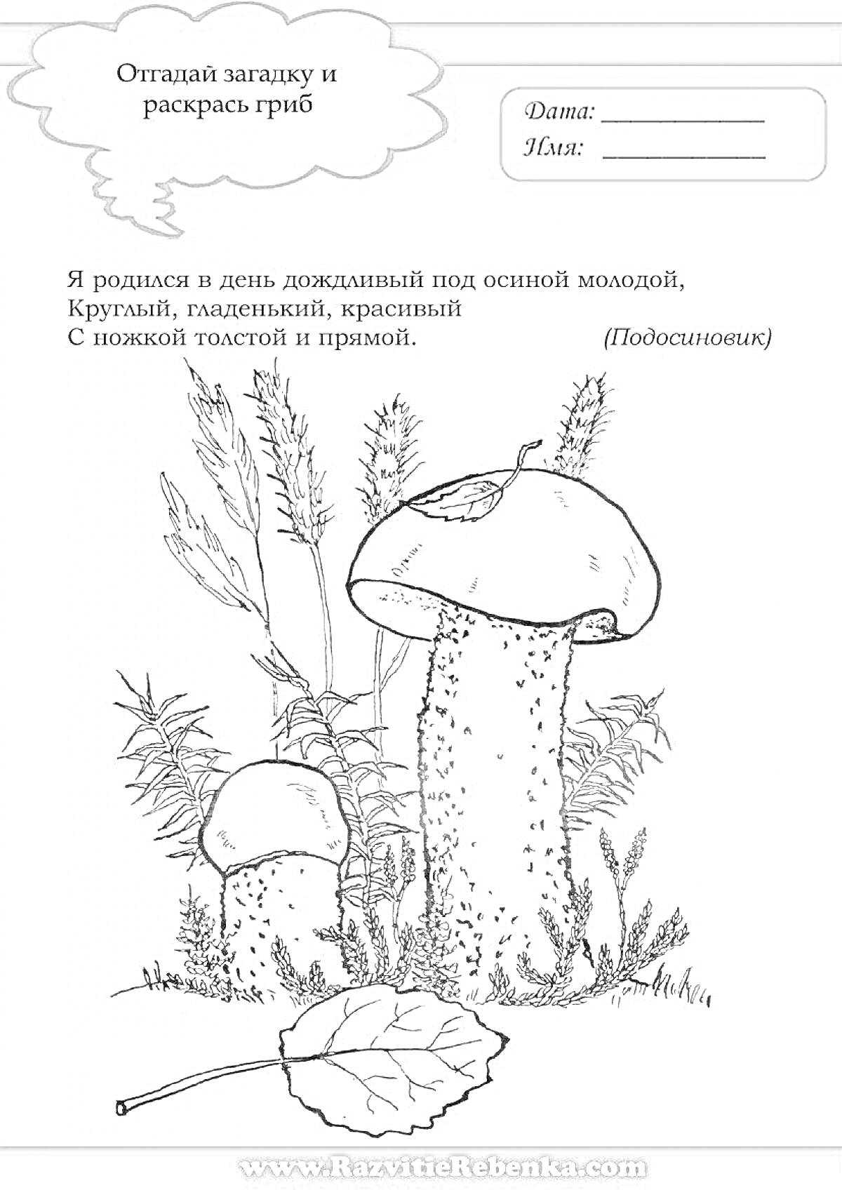 На раскраске изображено: Подосиновик, Природа, Листья, Трава, Загадка, Обучение