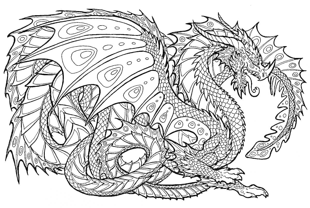Раскраска Антистресс раскраска с детализированным драконом с большими крыльями и чешуйчатым телом, лежащим на земле
