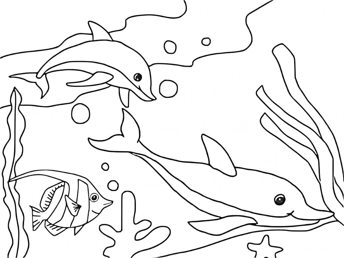 Раскраска Дельфины под водой с рыбой и растительностью, пузыри, водоросли, морская звезда